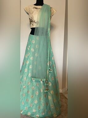 Pastel Green and Gold Silk Lehenga with detailed embroidery.